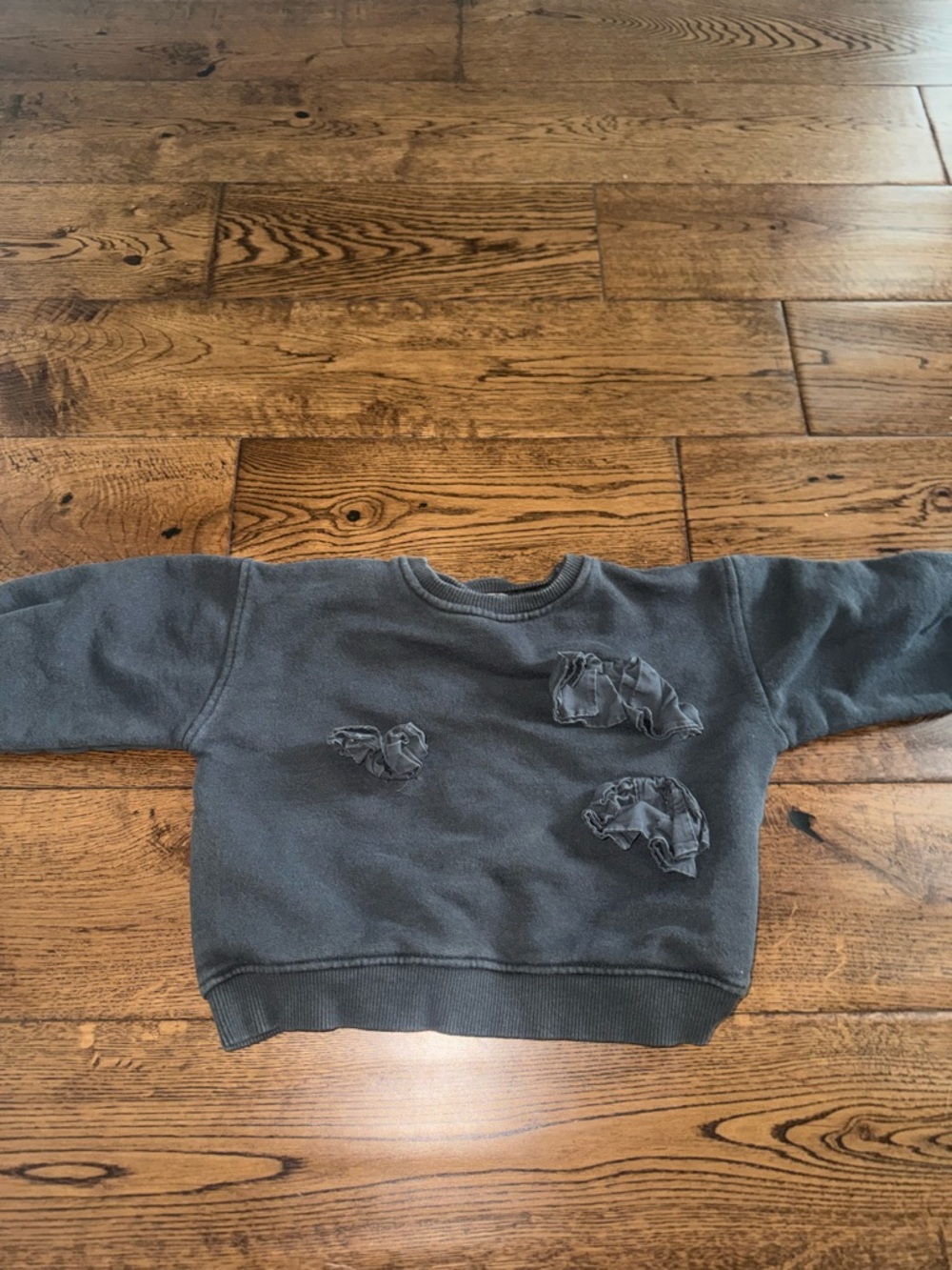 Zara Grey Crewneck with Flowers Size 18/24 Month